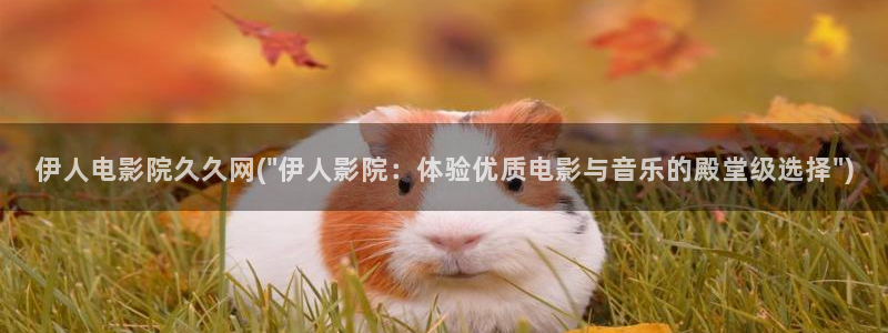 伊人网全网视频盛宴：伊人电影院久久网(\