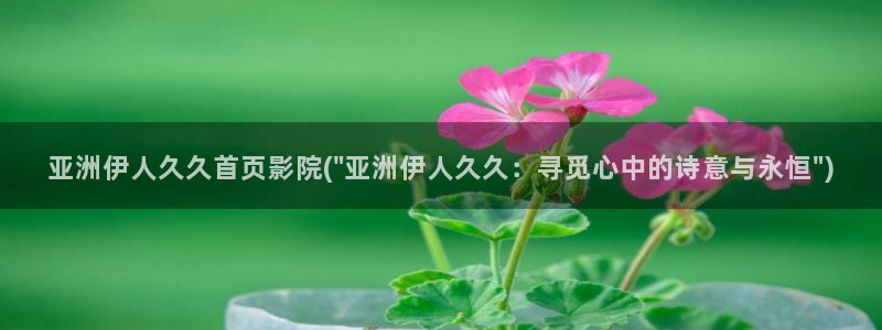 伊人成久久影院：亚洲伊人久久首页影院(\