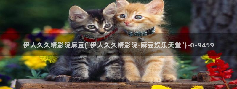 亚洲影院伊人久久久网：伊人久久精影院麻豆(\