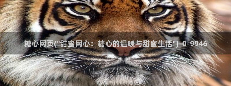 糖心vlog免费视频：糖心网页(\