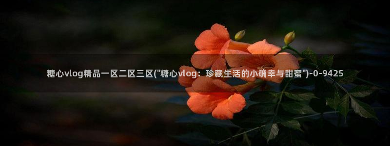 糖果心vlog娜娜：糖心vlog精品一区二区三区(\