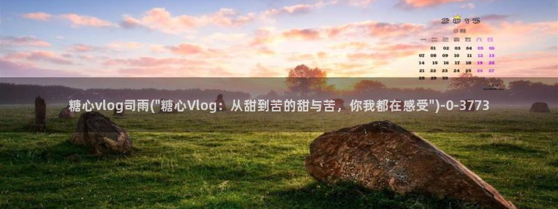 糖心vlog邀请码
