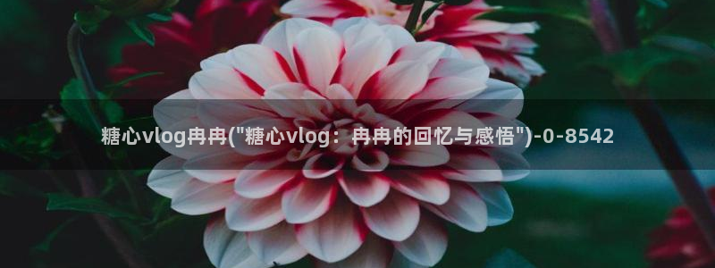 糖心vlog精东影业：糖心vlog冉冉(\