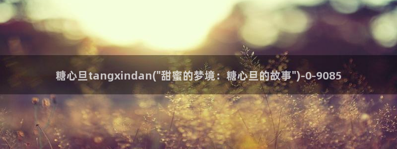 糖心vlog回家