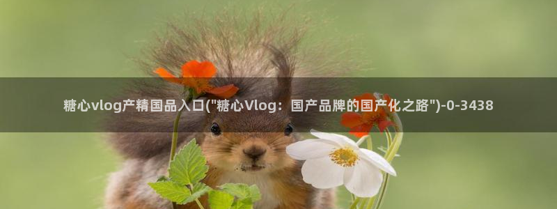 糖心vlog视频唐伯虎