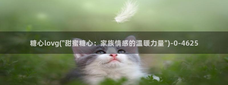 黑椒盖饭糖心vlog