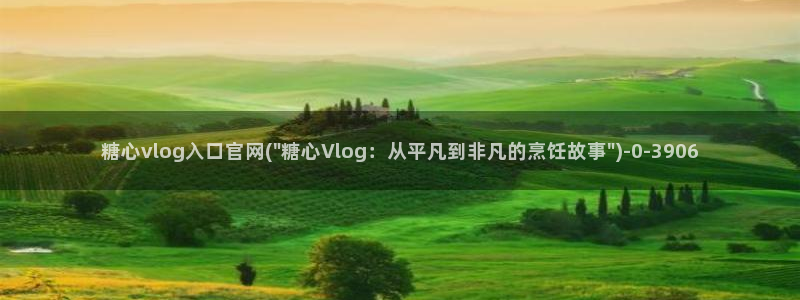 vlog糖心网站