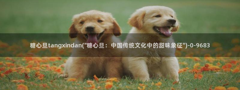 糖心vlog司雨