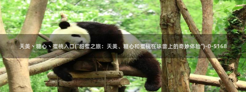 糖心vlog一区二区三区四区