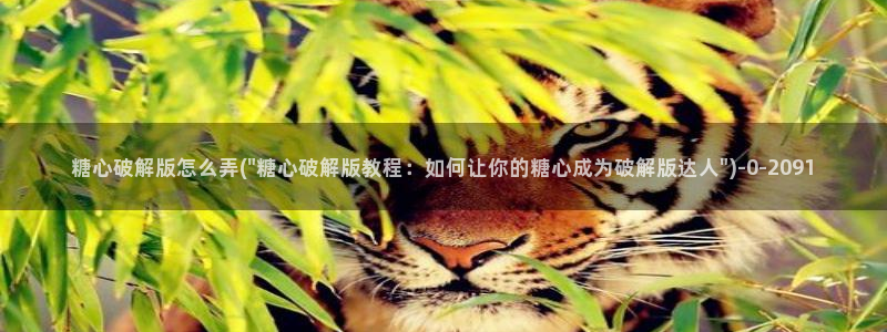 糖心vlog官方：糖心破解版怎么弄(\