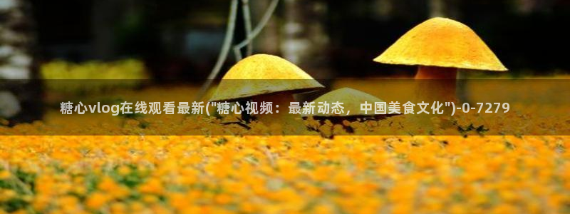 糖心视频vlog