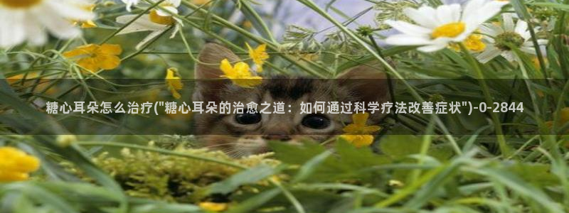 糖心vlog星辰