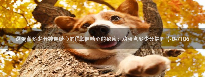 糖心vlog在线观看糖心