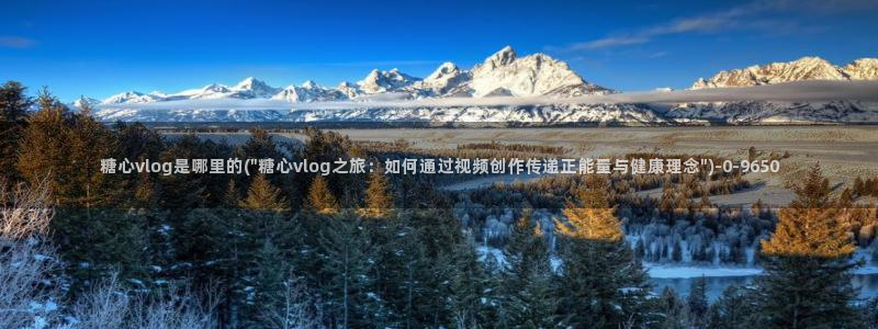 糖心vlog.con