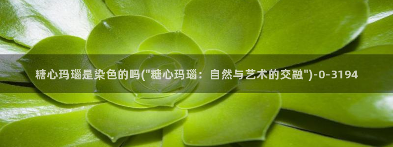 糖心vlog电影