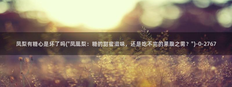 糖心vlog工作室